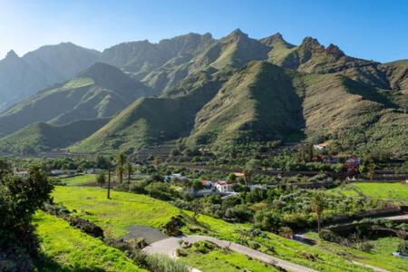 Villa La Rama Del Drago, Agaete San Pedro  Ngoại thất bức ảnh